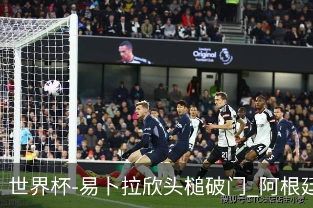世界杯-易卜拉欣头槌破门 阿根廷失点半场0-1落后埃及